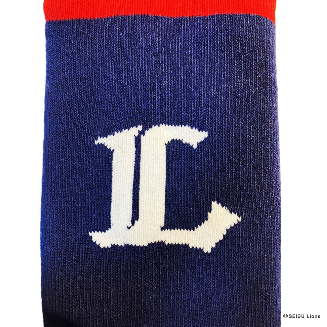 LIONS navy stripes